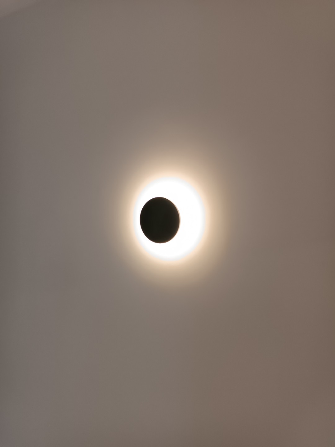 1674733447317 (Large)