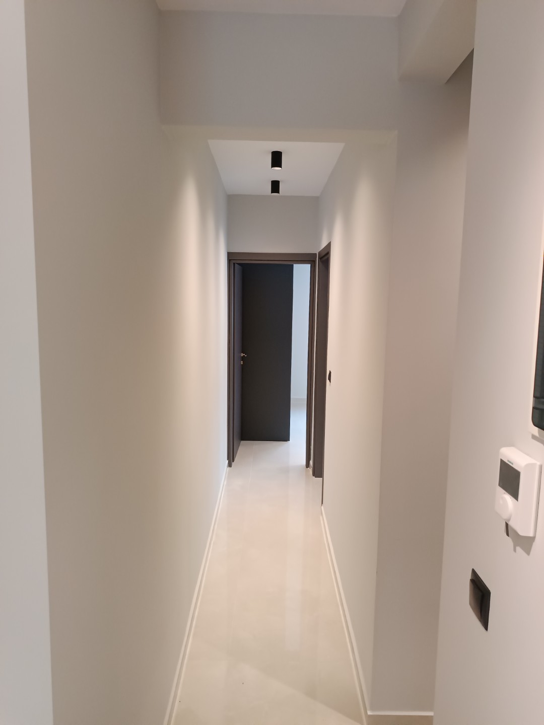 1674733447341 (Large)