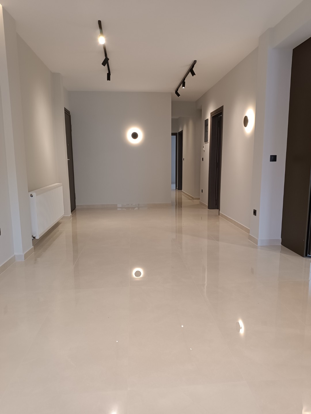 1674733447607 (Large)