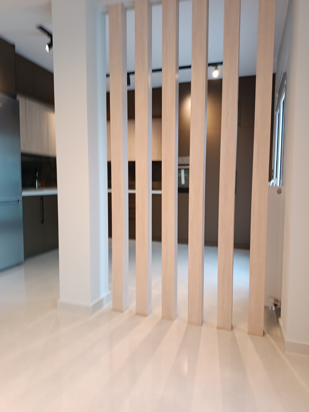 1674733447801 (Large)