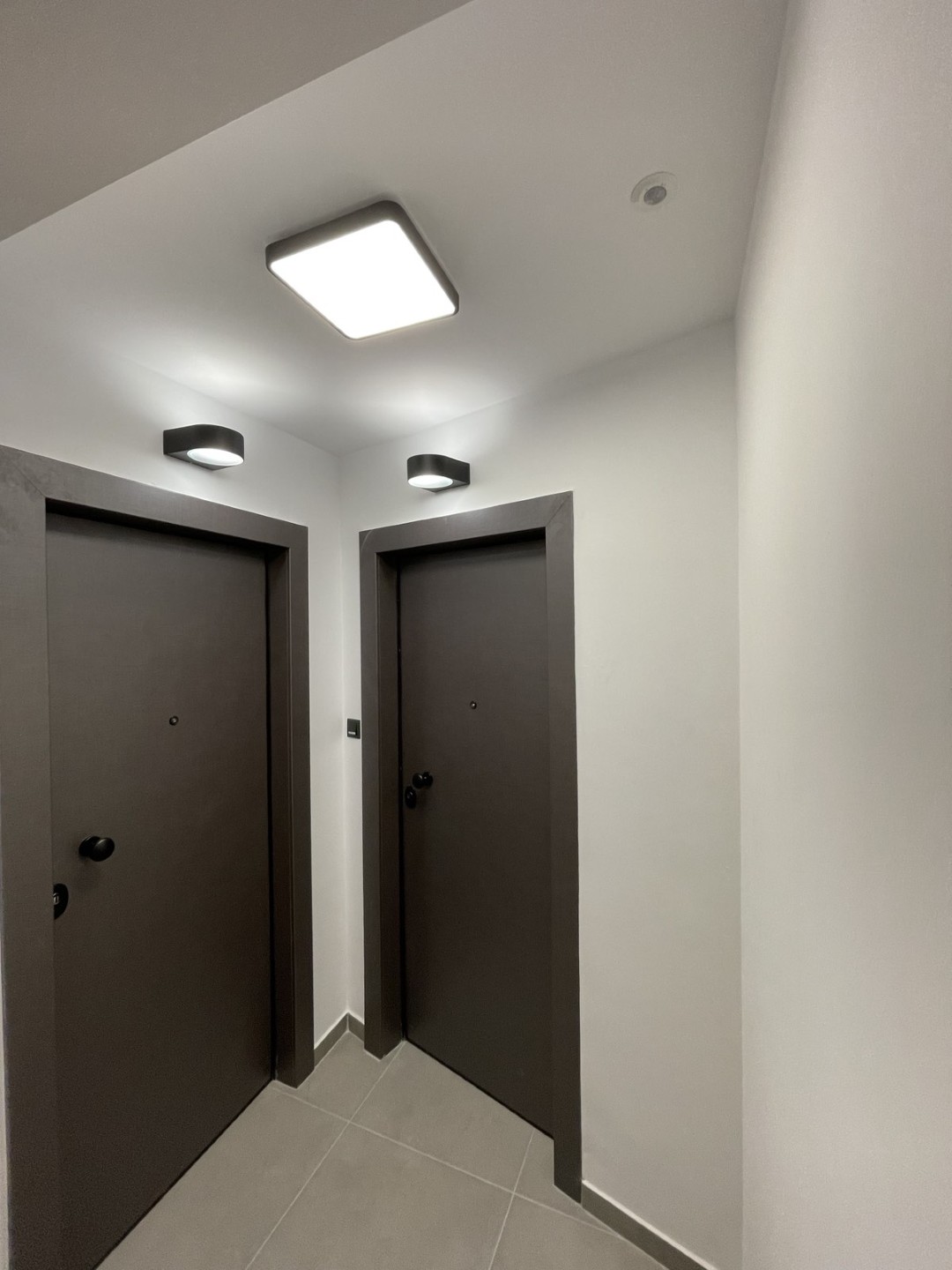 1680428788493 (Large)