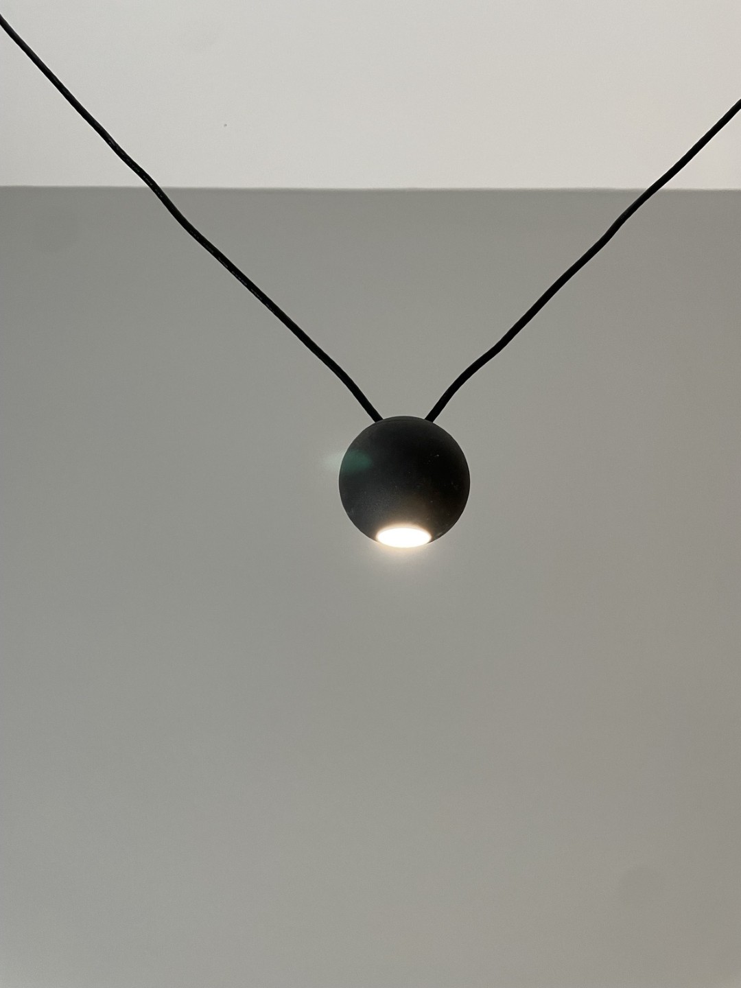 1680428788593 (Large)